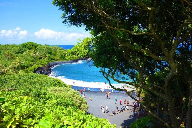 Road to Hana Rainforest, Black Sand Beach, Waterfalls & Lunch - Traveler Photos and Testimonials