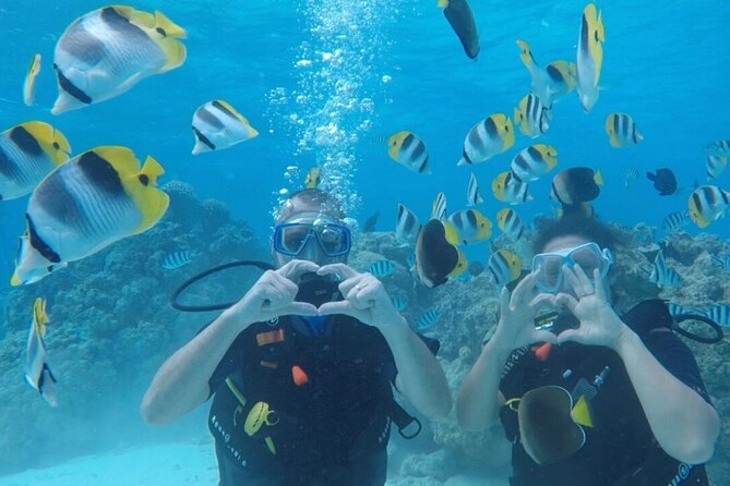 Romantic Dive for Beginners in Bora Bora (2 People) With Video - Common Questions