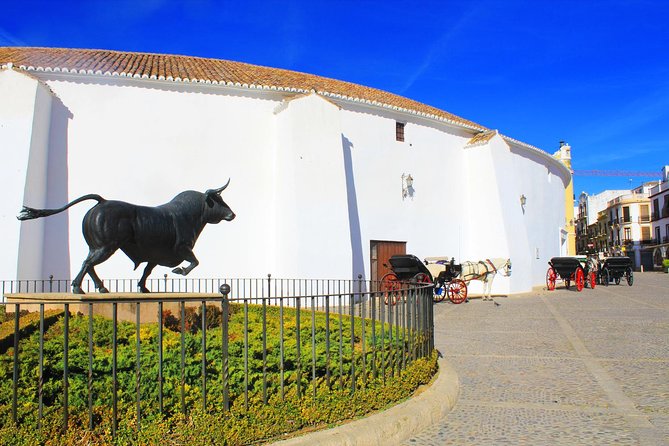 Ronda and Setenil De Las Bodegas Private Tour From Cadiz - Traveler Reviews and Feedback