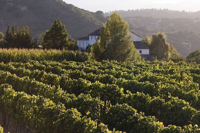 Ronda Organic Wine Tour From Marbella - Booking and Reservation Information