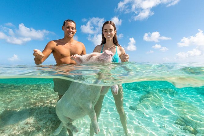 Rose Island: Sandy Toes Original Swimming Pigs and Snorkeling - The Sum Up