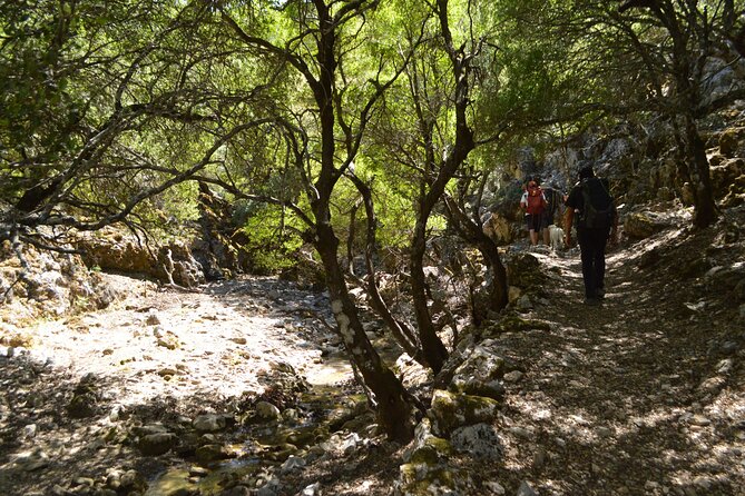 Rouvas Gorge - Pricing and Booking Information