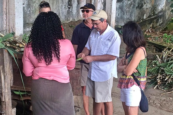 Rum Tour: Exploring the Historic River Antoine Rum Distillery - Complimentary Pickup and Drop-Off