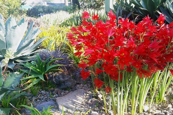 Ruth Bancroft Garden General Admission Ticket - Cancellation Policy