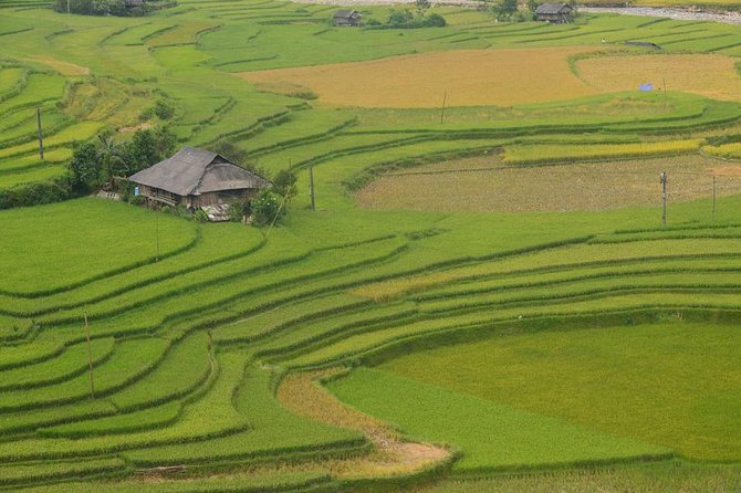 Sa Pa 2-Day Moderate Trek and Homestay Limousine Tour From Hanoi - Common Questions