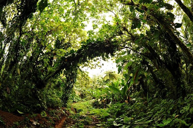 Saba Day Trip From St Maarten - Crossing Experience