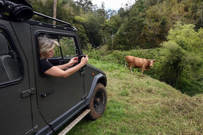 Safari 4x4 Pico Arieiro Santana in Small Group "FlowerEAST" - Reviews