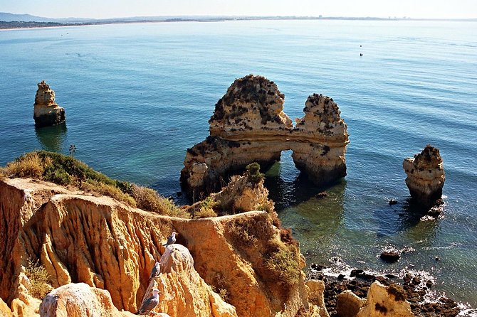 Sailing Cave Tour Ponta Da Piedade Lagos - The Sum Up
