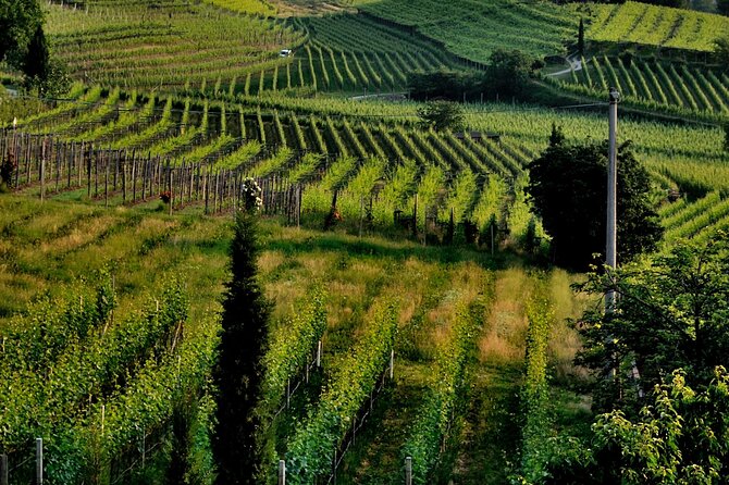 Saint-Emilion and Vineyard Walk With Wine Tasting - Common Questions