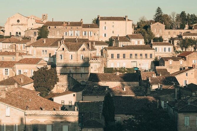 Saint Emilion Castle and Village Wine Tour - Historical Saint Emilion Castle