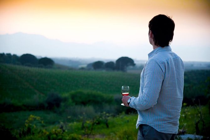 Sample Paso Robles Wines Alongside Connoisseurs.  - Pismo Beach - Complimentary Picnic Lunch Provided