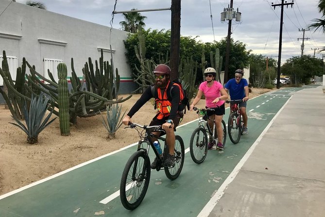 San José Del Cabo Small-Group Cycling Tour: Nature and City  - San Jose Del Cabo - Good To Know