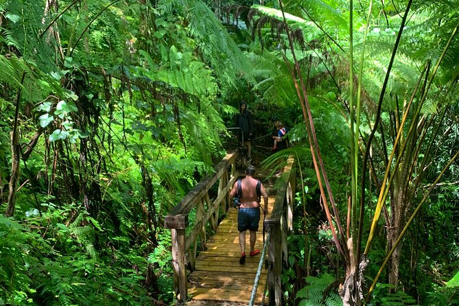 San Juan Full-Day Rain Forest Adventure Tour - Common Questions