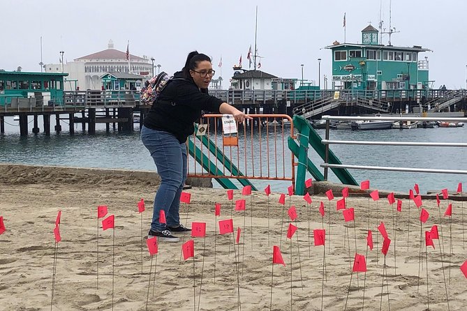 Santa Catalina Island Race and Mystery Experience From Avalon - Common Questions