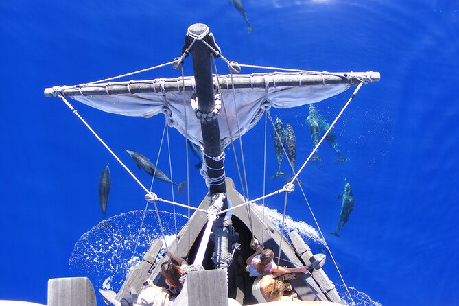 Santa Maria De Colombo" Cruise From Funchal  - Madeira - Pricing and Additional Information