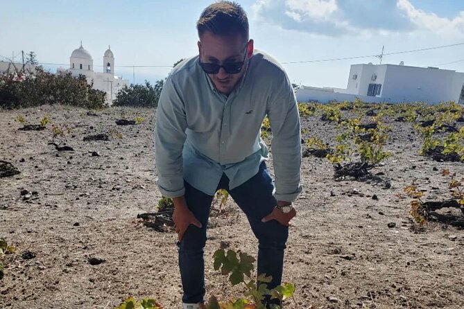 Santorini Wine Tasting: Private Tour With a Certified Wine Guide - A Journey Through the Vineyards
