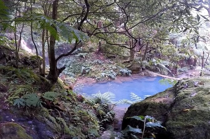 São Miguel Island Whale Watching and Lagoa Do Fogo Day Trip  - São Miguel - Inclusions