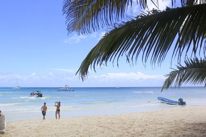 Saona Island and Snorkeling From Punta Cana - Customer Support and Inquiries