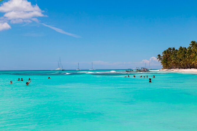 Saona Island Catamaran Adventure With Free Food and Transportation - Free Food and Refreshments on the Catamaran