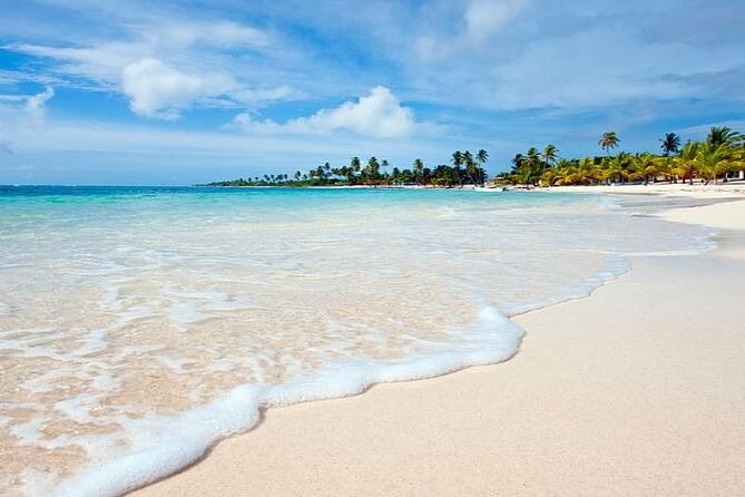 Saona Island Full-Day Tour With Lunch From Punta Cana - Cancellation Policy and Terms and Conditions