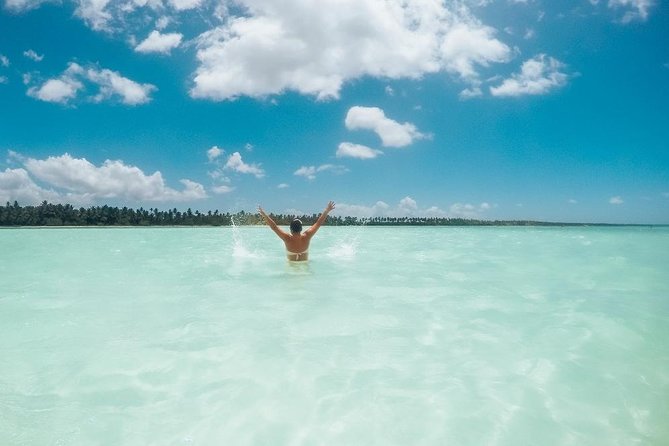 Saona Island Tour With Snorkeling Free, From Punta Cana - Transportation and Logistics