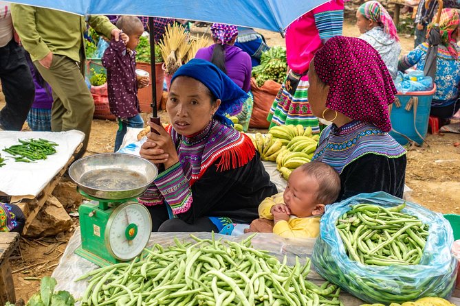 Sapa, Bac Ha Market Tour - 1 Day Tour - Directions