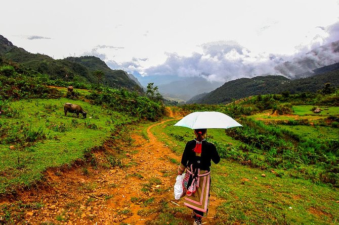 Sapa Easy Trekking Tour 1 Day - Rice Paddies and Cultures - Cultural Experiences