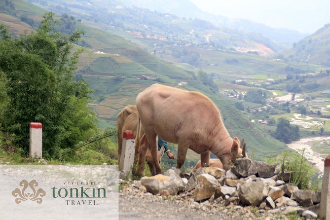 Sapa Hard Trekking Villages Homestay 3days/ 2nights Tour - Amazing Culture - What to Pack