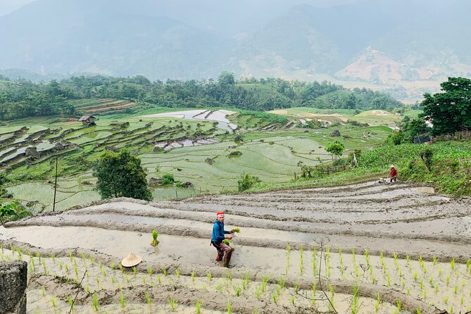 Sapa Motorbike Tour With Local Guide 1 Day - Traveler Photos