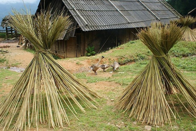 Sapa Mountain View and Villages Trek - Common Questions