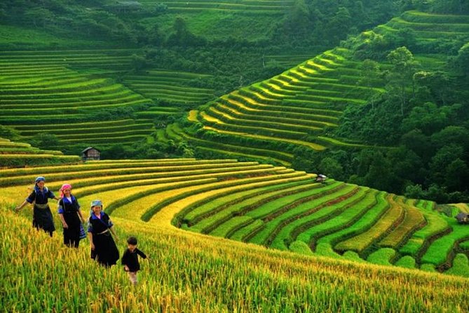 Sapa Trekking 2 Days Start From Lao Cai: Hotel; Local Tour Guide; Small Group - What to Expect During a 2-Day Sapa Trekking Tour