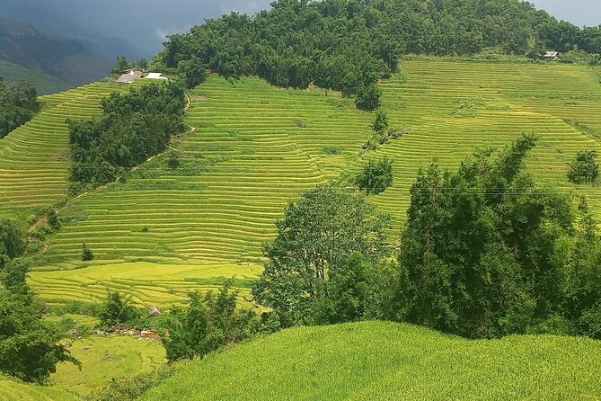 Sapa Trekking / Hiking Through Sapa Valley With Native Hmong - Breathtaking Landscapes and Terraced Rice Fields
