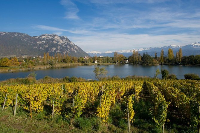 Savoyard Vineyards Tour (8 Hours) - Private Driver - From Annecy - Gourmet Lunch