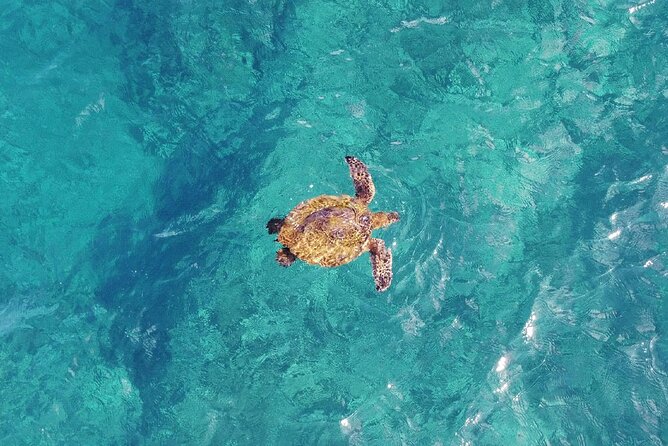 Scenic Barrier Reef Private Helicopter Flight  - Cairns & the Tropical North - Enjoy Unbeatable Views of the Queensland Coastline