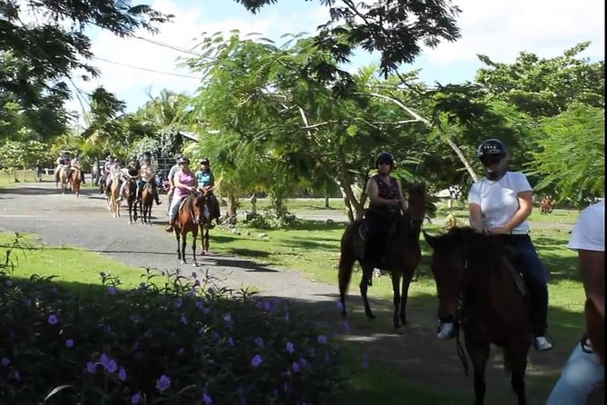 Scenic Horseback Riding Tour From San Juan - Traveler Reviews