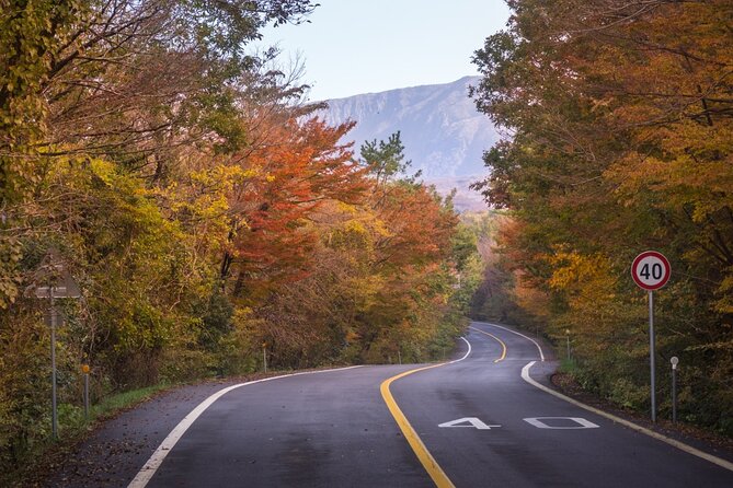 Scenic Jiri Mountain Autumn Foliage One Day Tour - Inclusions and Amenities