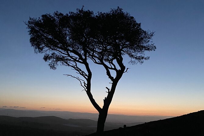 Scottish Mountain Sunrise, Angus - Wildlife Encounters on the Mountain