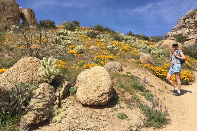 Scottsdale Desert Classic Hiking Adventure - Enjoy Trailside Snacks and Beverages