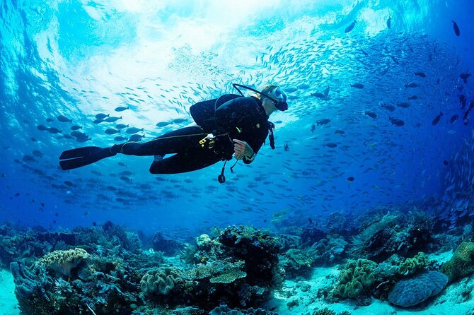 Scuba Diving Adventure in Dubai - End Point and Pickup Details