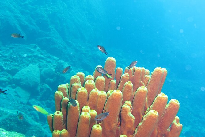 Scuba Diving Adventure in Santorini - Hands-On Guidance and Support in Small Groups