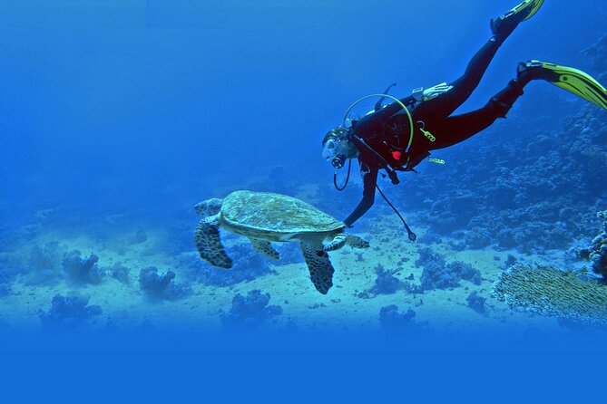 Scuba Diving at Jumeirah Dubai With Private Transfers - Inclusions and Benefits