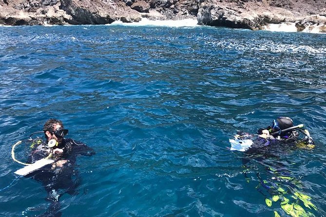 Scuba Diving Baptism in La Restinga - Scuba Diving Baptism Requirements