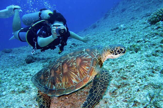 Scuba Diving Experience in Alanya With Lunch and 2 Dives - Physical Fitness Level