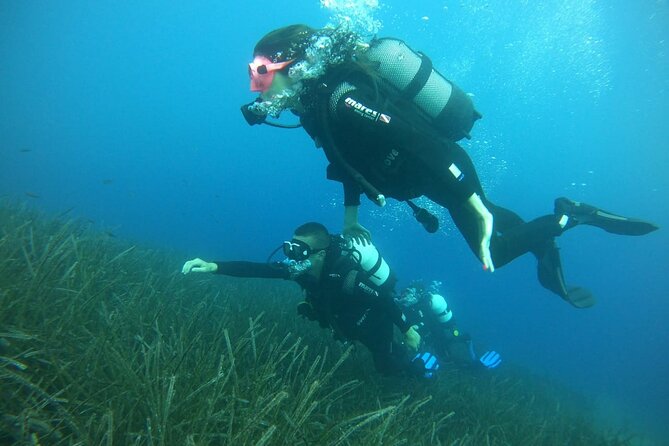 Scuba Diving Experience in Santorini - Positive Reviews From First-Time Divers and Families