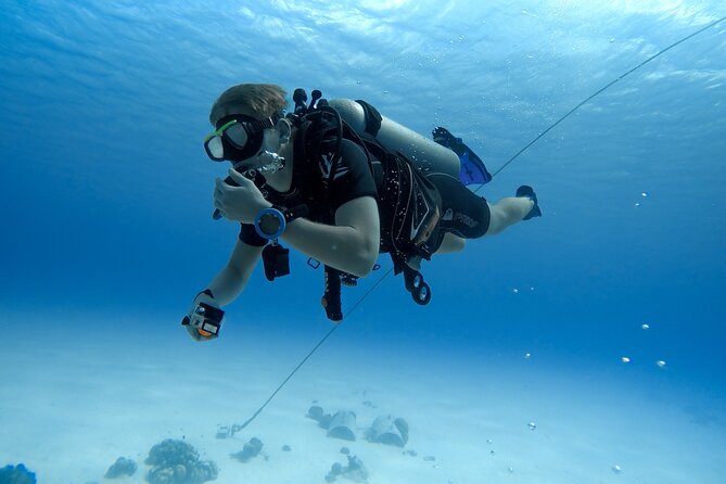 Scuba Diving Tour From Abu Dhabi to Dubai - Expectations and Requirements