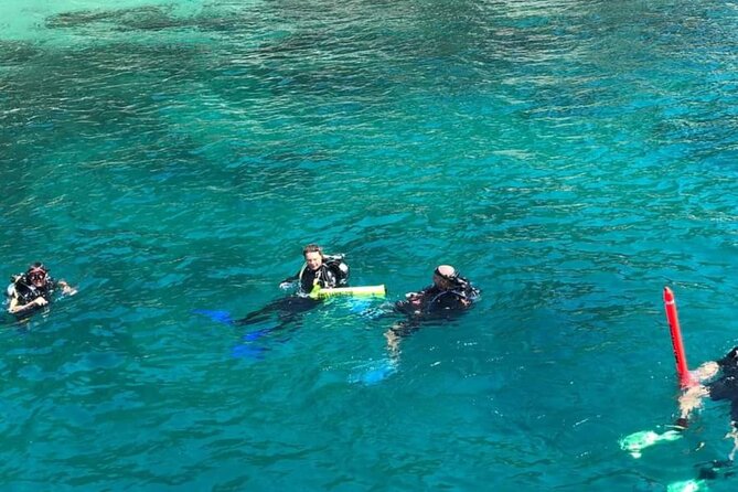 Scuba Diving Tour in Cham Island for Certified Divers or Beginners - Traveler Photos