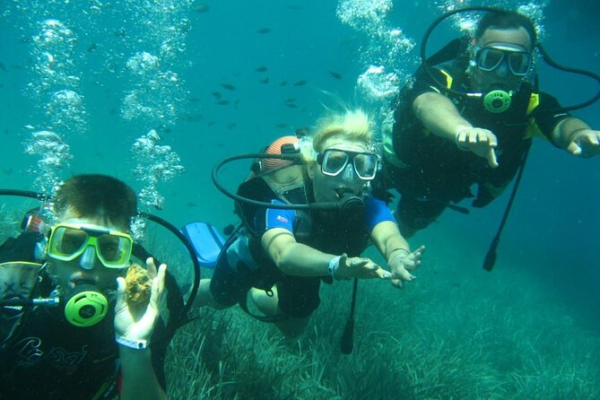 Scuba Diving Tour - Common Questions