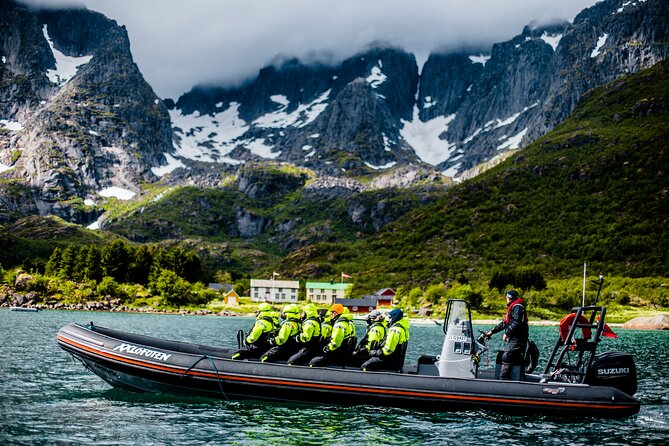 Sea Eagle Safari From Svolvær to Trollfjorden - Traveler Photos and Reviews
