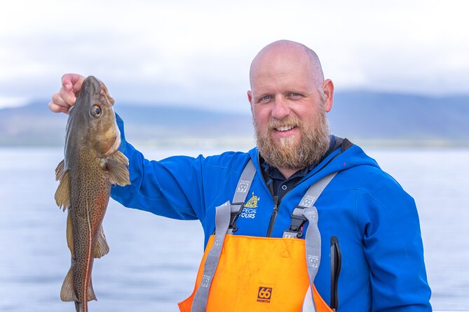 Sea Fishing Experience From Reykjavik - Meeting and Pickup Details