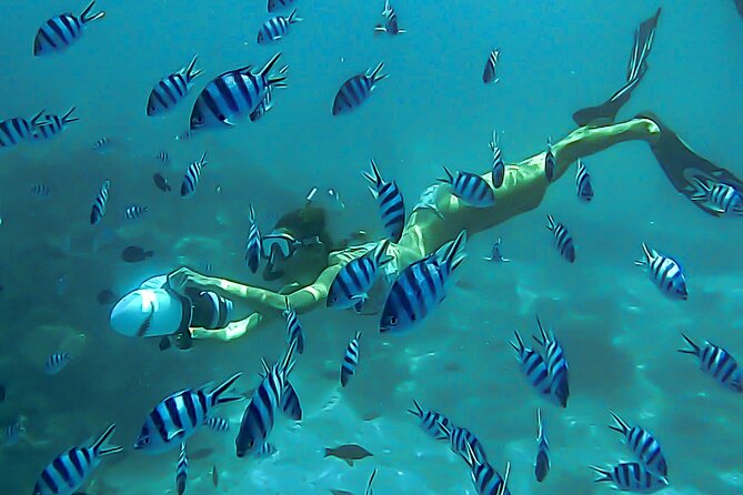 Sea Scooter Snorkel Tour - Guided Ocean Safari Reef and Lagoon Adventure - Unforgettable Experience